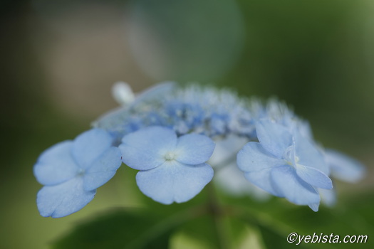 恵比寿ガーデンプレイス