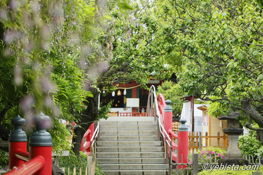 亀戸天神社