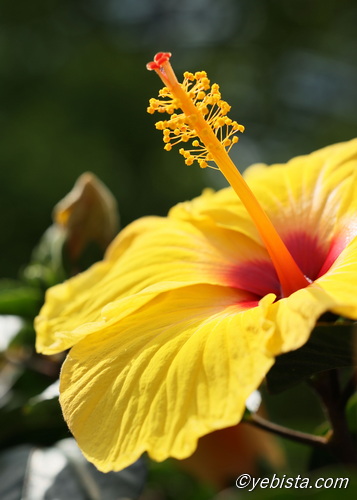 恵比寿ガーデンプレイス