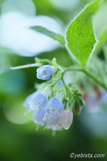 恵比寿ガーデンプレイス