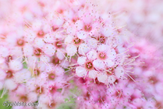 恵比寿ガーデンプレイス