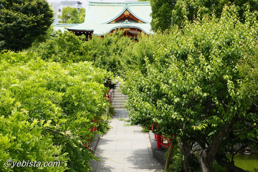 亀戸天神社