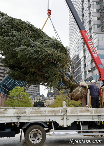 恵比寿ガーデンプレイス