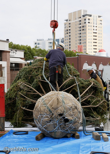 恵比寿ガーデンプレイス