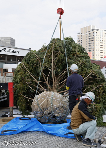 恵比寿ガーデンプレイス