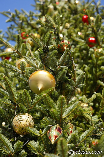 恵比寿ガーデンプレイス