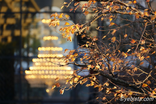 恵比寿ガーデンプレイス