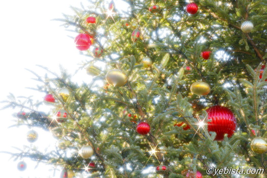 恵比寿ガーデンプレイス