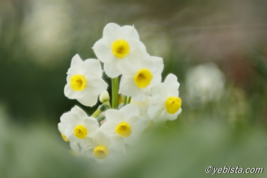 恵比寿ガーデンプレイス