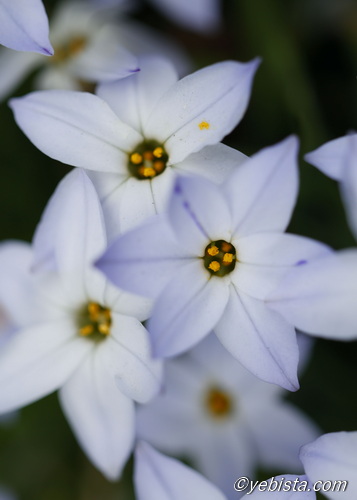 恵比寿ガーデンプレイス