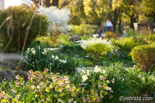 恵比寿ガーデンプレイス