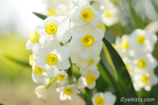 恵比寿ガーデンプレイス