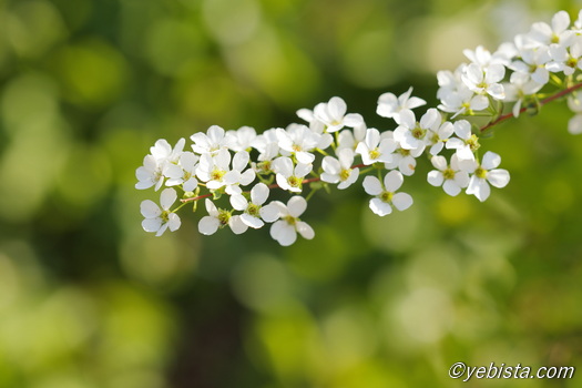 恵比寿ガーデンプレイス