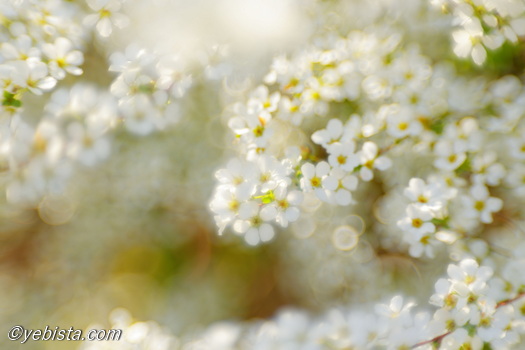 恵比寿ガーデンプレイス