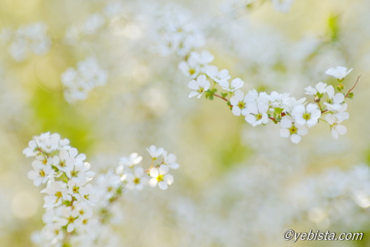 恵比寿ガーデンプレイス