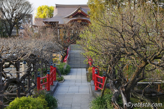 亀戸天神社