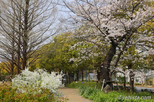 恵比寿ガーデンプレイス