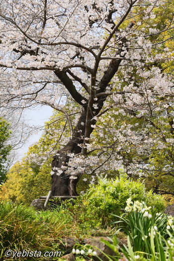 恵比寿ガーデンプレイス